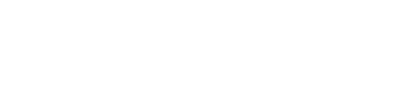 WORLDLIBRARY Birthday