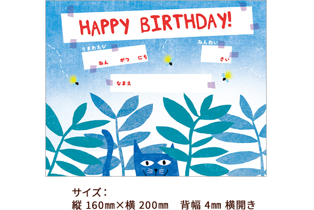 サイズ： 縦 160㎜×横 200㎜　背幅 4㎜ 横開き